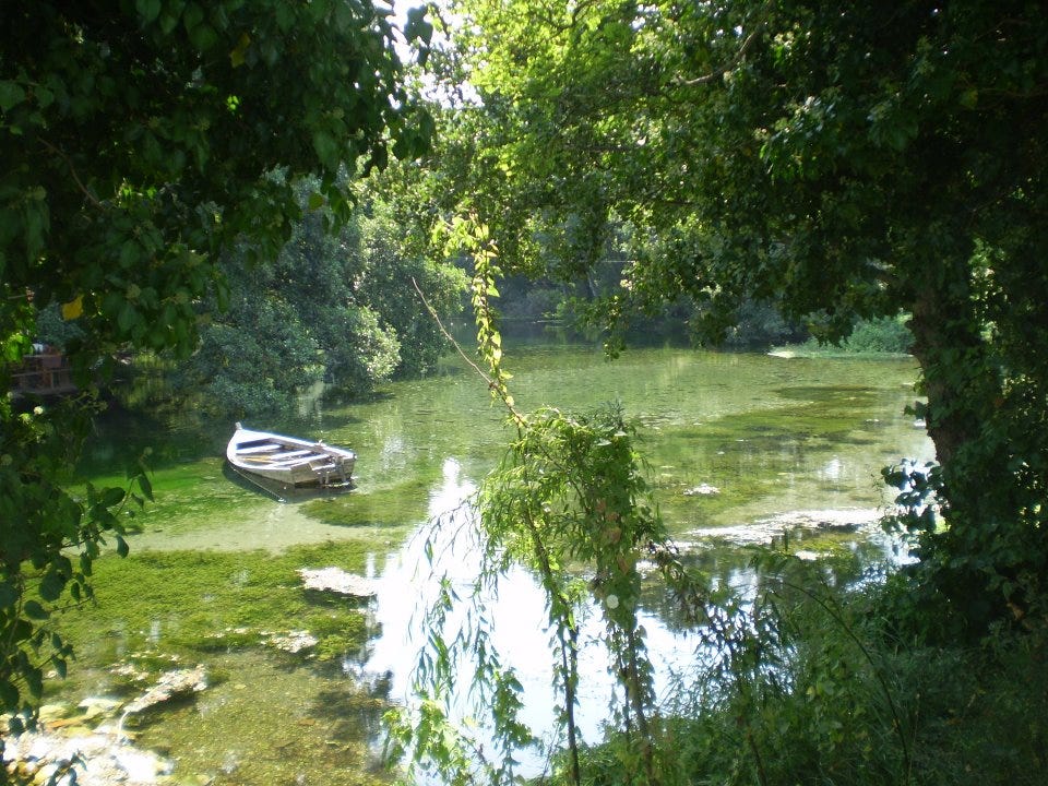 No photo description available. No photo description available.