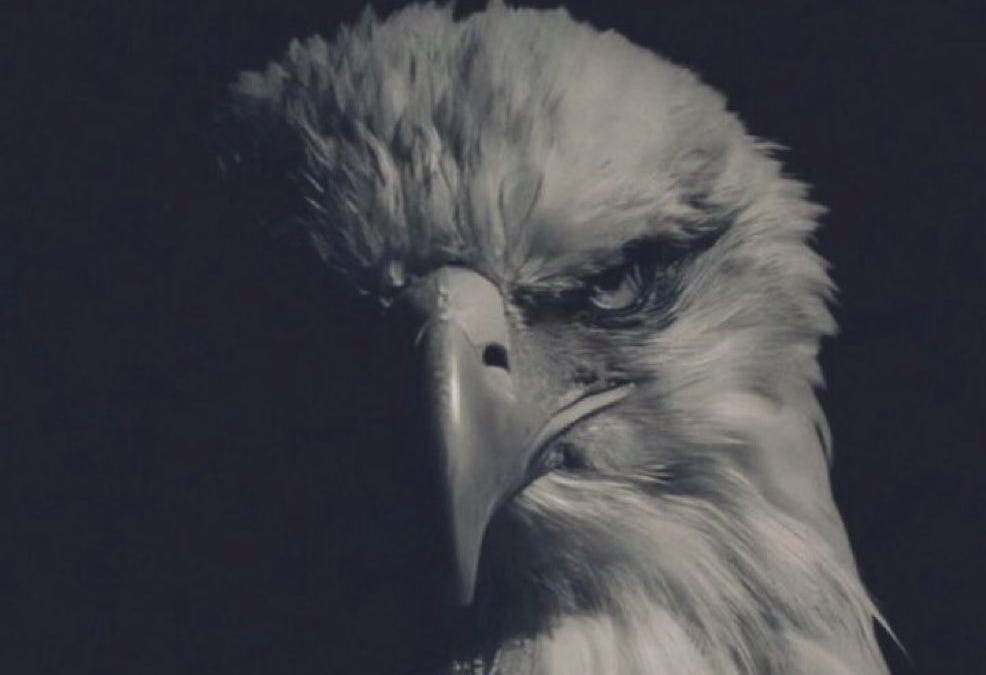 Trump and the US MIL are Saving Humanity