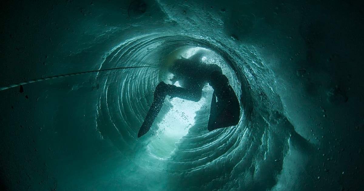 Researchers Dropped a Camera 305 Feet Beneath Antarctica, What They Found  Was Nothing Short of Amazing - Front Page Detectives