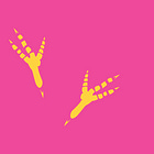 Why pigeons don’t write novels