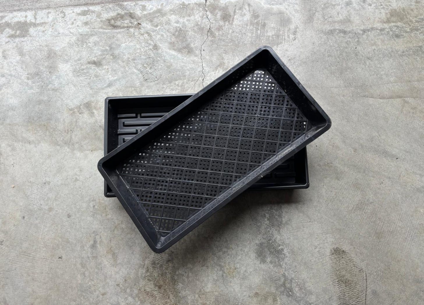 Perforated seed starting tray placed inside a solid tray for bottom watering soil blocks and pepper seedlings. Perforated seed starting tray placed inside a solid tray for bottom watering soil blocks and pepper seedlings.