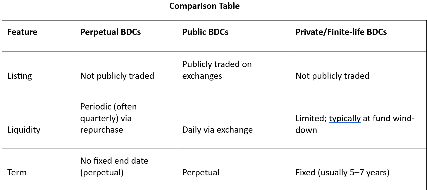 The Rise and Challenges of Non-Traded Perpetual BDCs