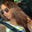 Avatar de Ana Clara Alexandre
