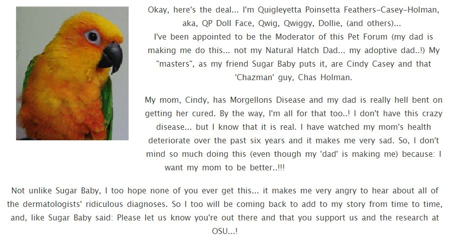 parrot.jpg