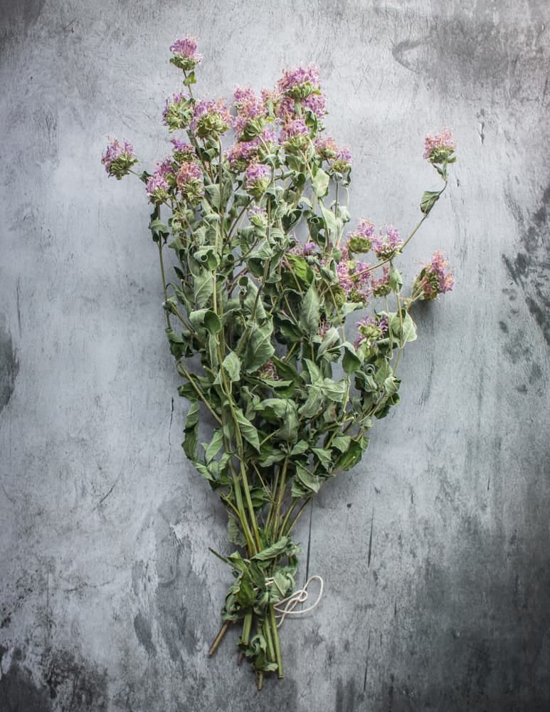 dried wild bee balm bouquet afor cooking