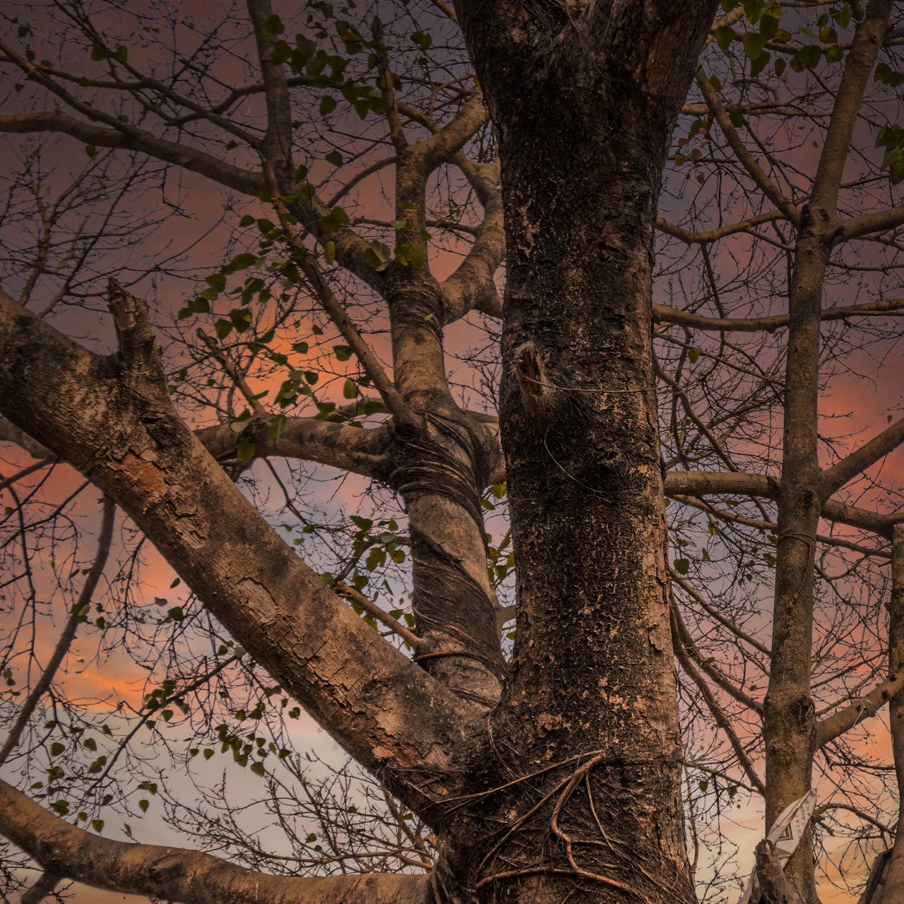 A Fitting Room for Thoughts