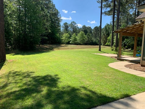 Pine pollen, gardenias, lucious lawn, raising teenage chickens, buidling vegetable beds