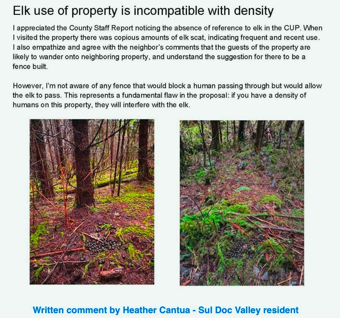 A screenshot of a screenshot of a forest

Description automatically generated