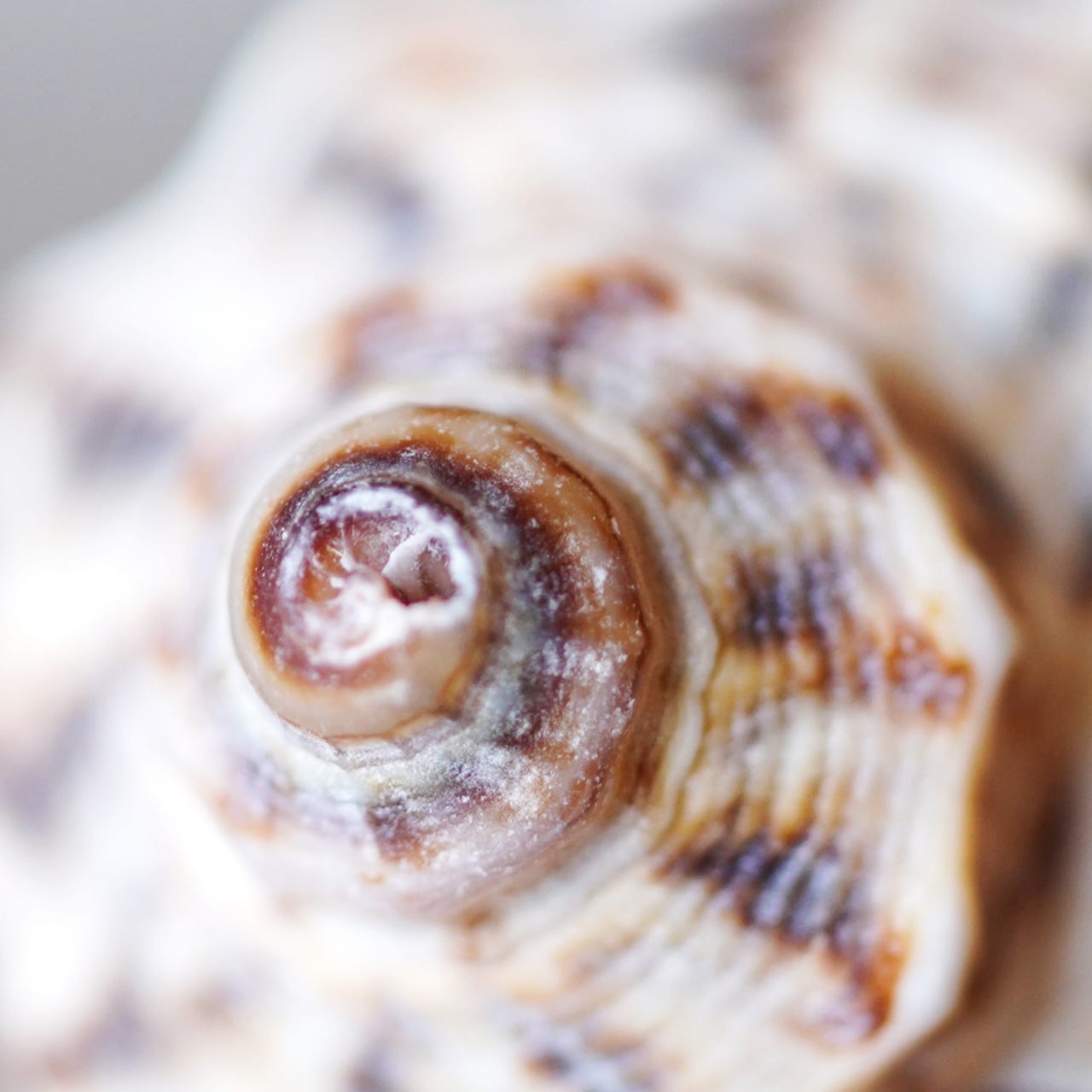 Embodied & Unfiltered