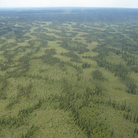 Suncor admits it doesn't have concrete plans to protect McClelland Lake Wetland Complex