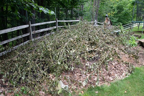 Gardens not lawns, lasagna gardening, layers
