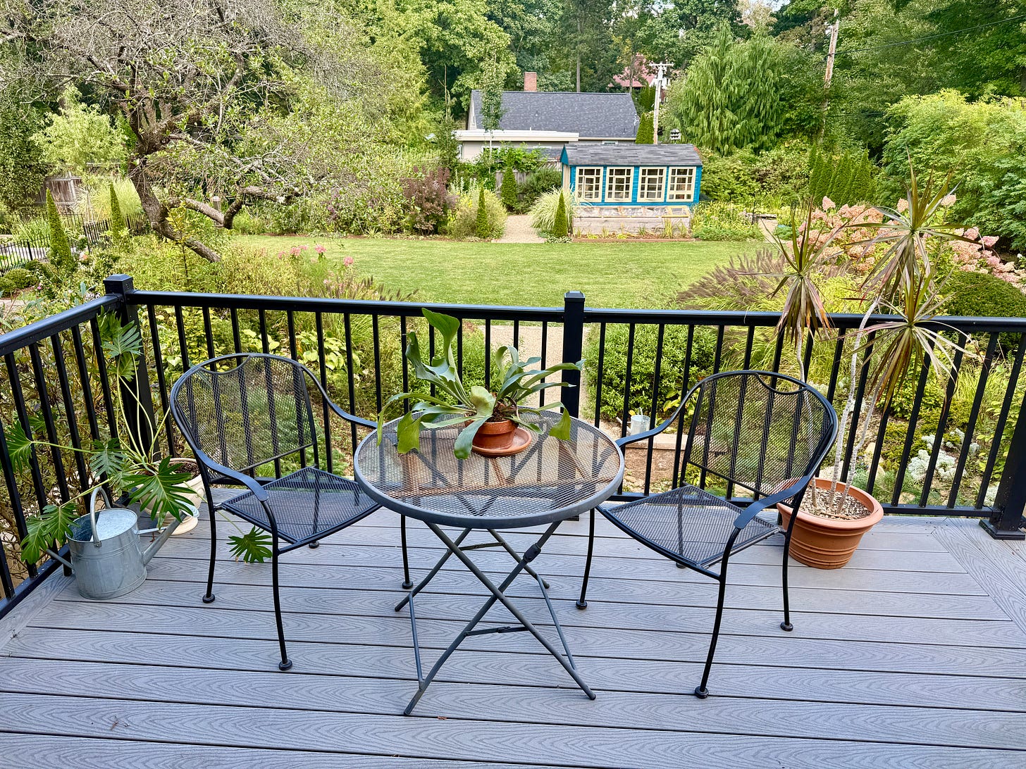 Site of our garden chat in the back garden on the deck over the Ruin garden. 