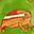 He Ruiming's avatar
