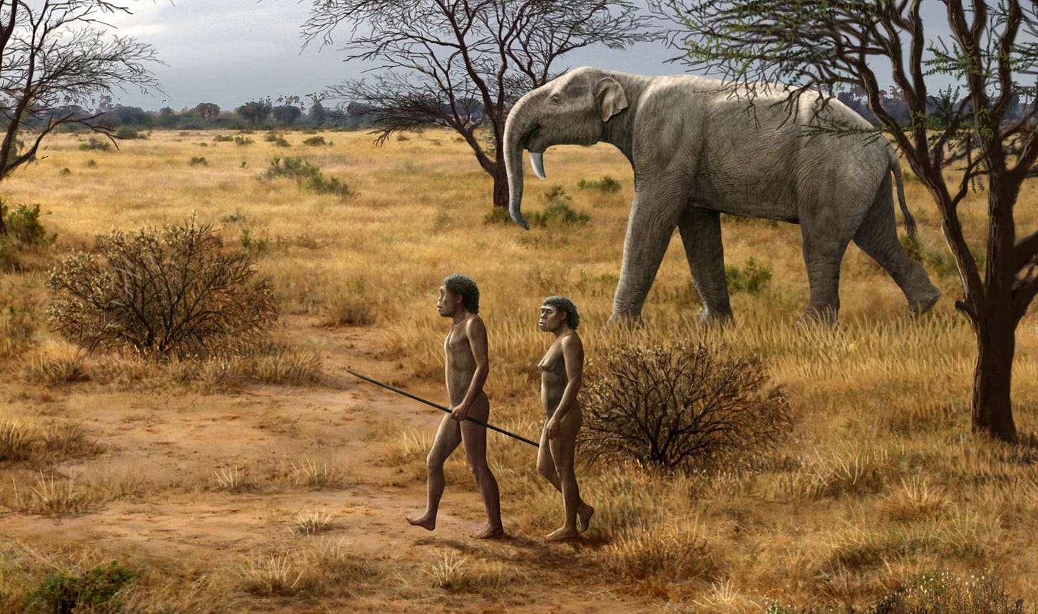 Meat Made Us Human” Evolutionary Narrative Starts To Unravel