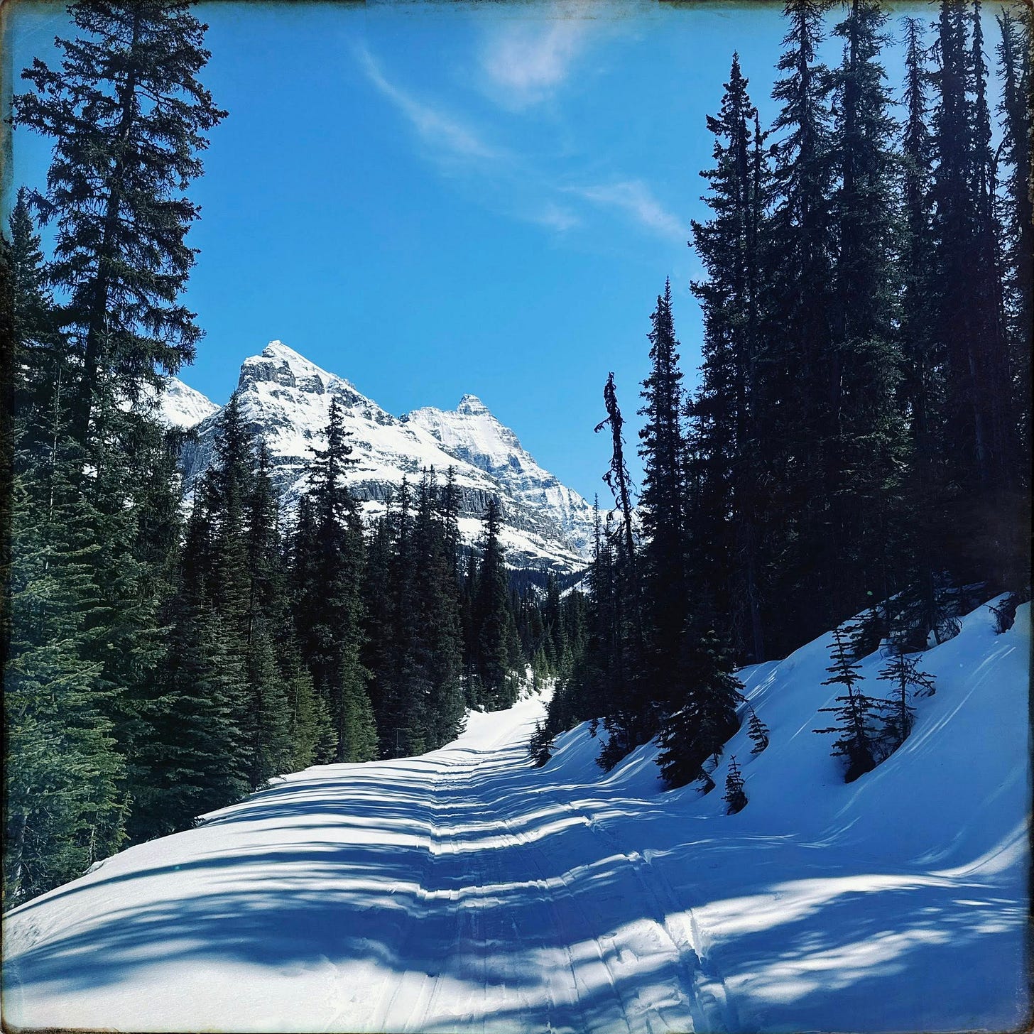 May be an image of ski slope