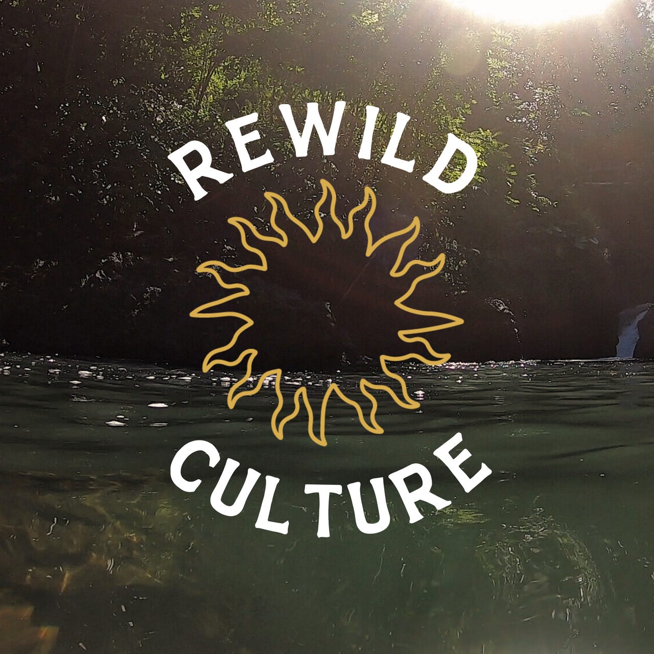 REWILD CULTURE