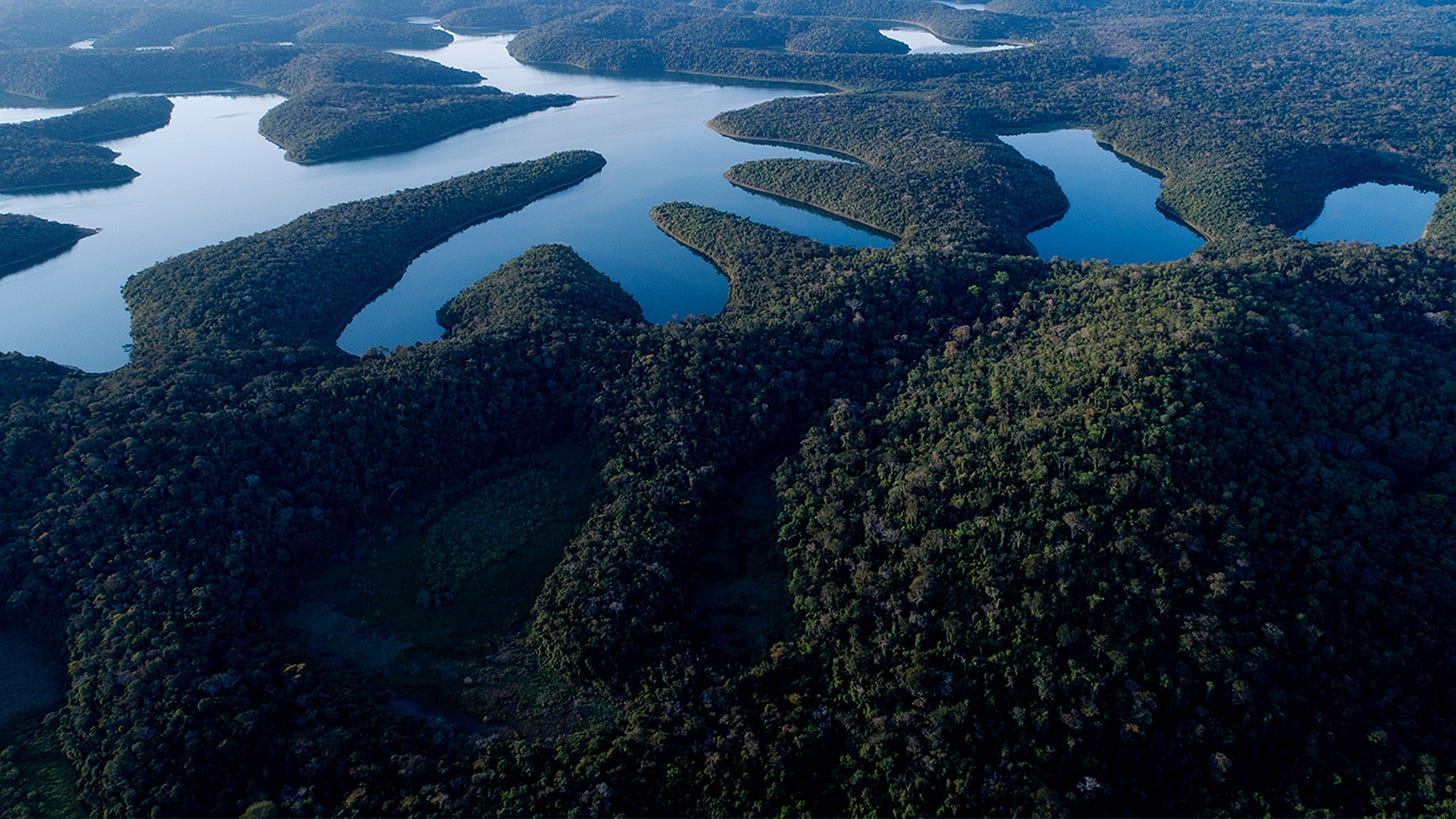 Parque Estadual do Rio Doce recebe R$ 93 milhões para melhorar estrutura e  fortalecer o turismo - Fundação Renova