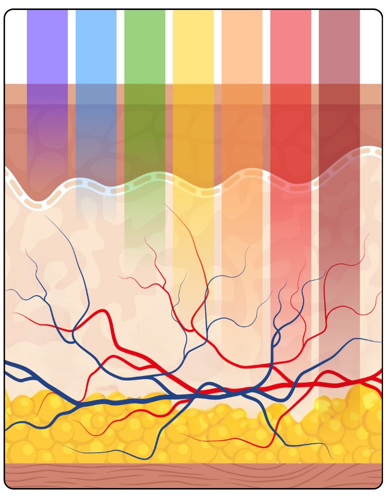 Light Penetration Depth by Wavelength