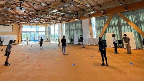 Virtual Reality Simulations for Physics and STEM Education