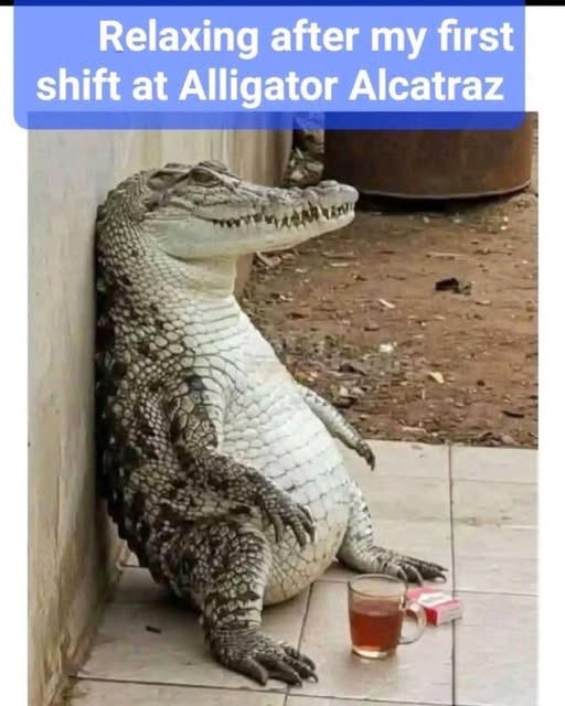 May be an image of crocodile and text that says 'Relaxing after my first shift at Alligator Alcatraz'