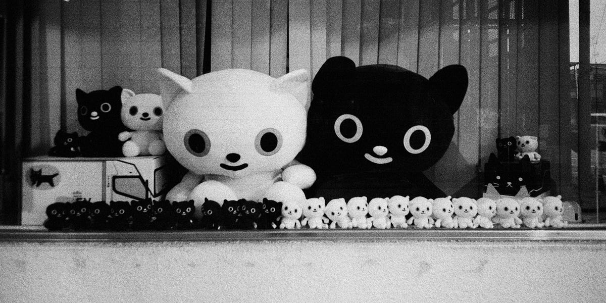 Shooting Neopan 1600 in Japan - by Matt Murray