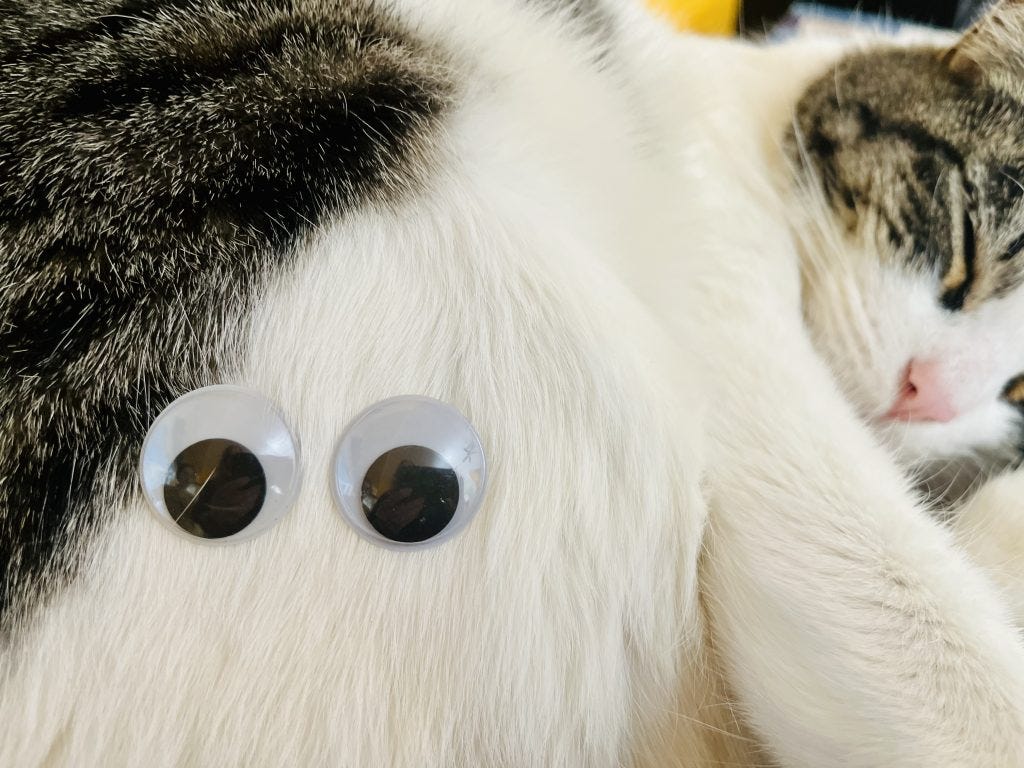 Inspired by Everything Everywhere/ Loscotoff 2022