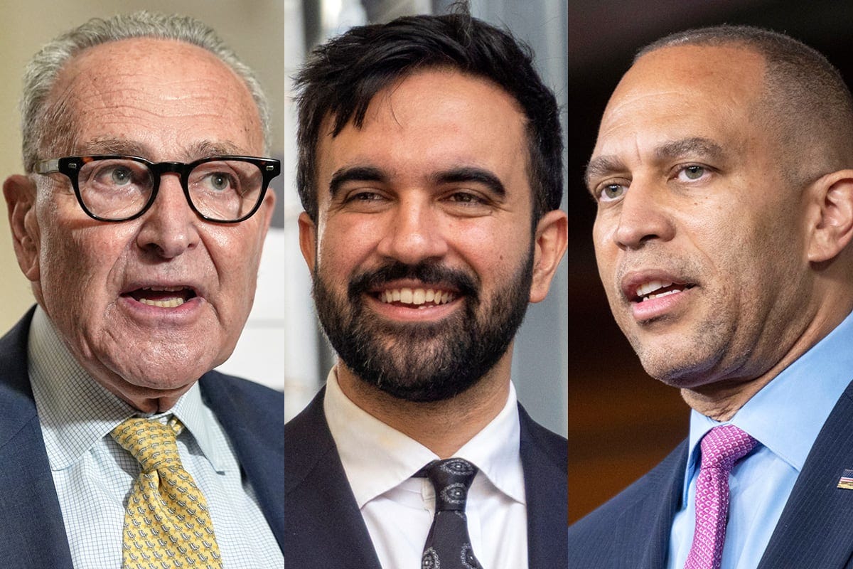 More New York Democrats coalesce behind Zohran Mamdani, but key holdouts  remain