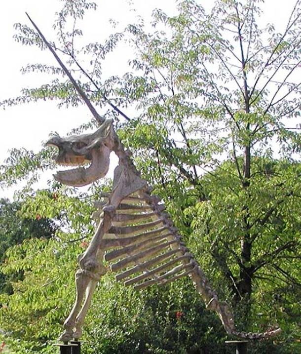 What Extraordinary Discovery Led to Unicorn Cave Magically Transforming ...