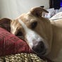 Missie's avatar