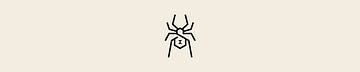 Black Widow Security