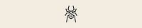 Black Widow Security