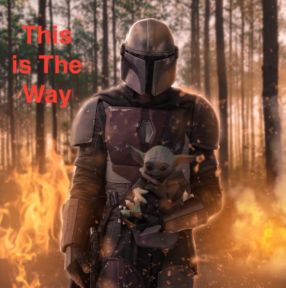 Mandalorin holding young Yoda away from fire Mandalorin holding young Yoda away from fire