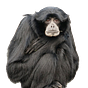 Andrew's avatar