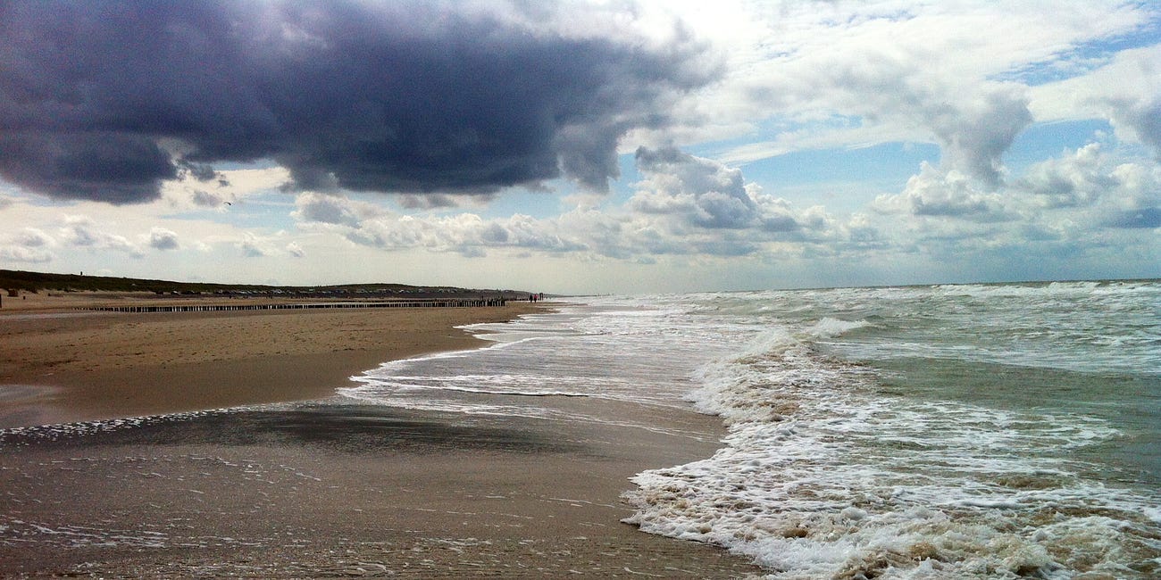 Couleur locale “Le Petit Bureau" & "Along the Tideline” 