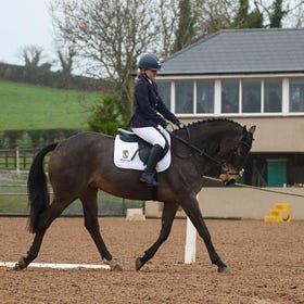 Impressive tests ridden as Lusk's dressage series continues