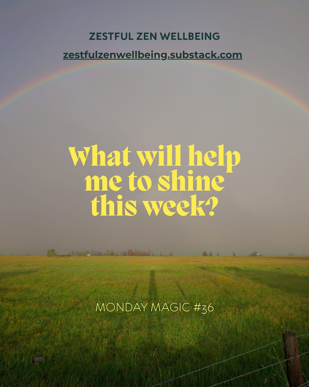 prompt: What will help me to shine this week? prompt: What will help me to shine this week?