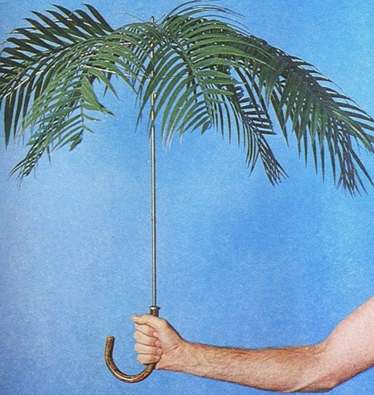 This may contain: a man holding an umbrella with a palm tree in the background and blue sky behind him