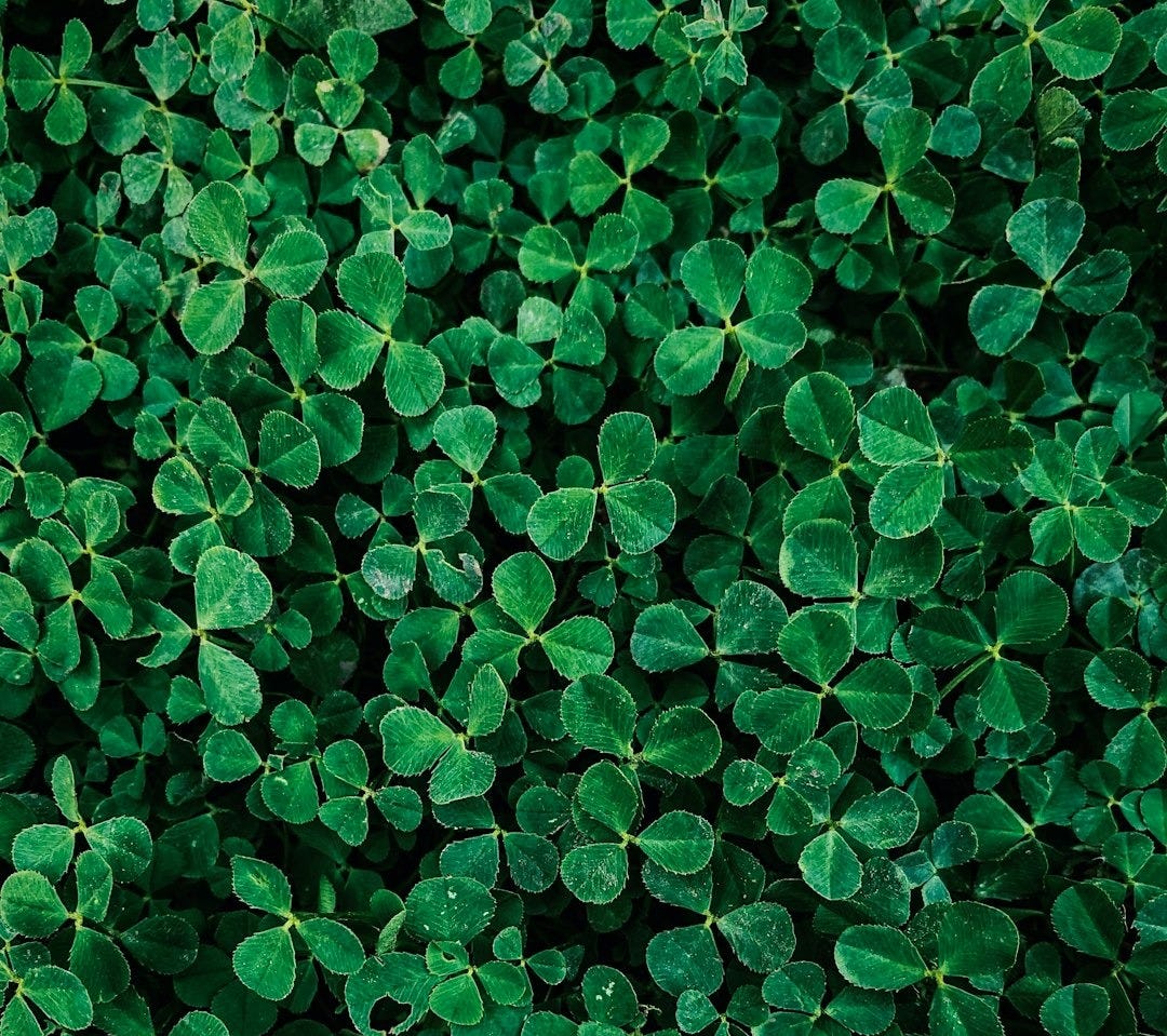 background pattern background pattern