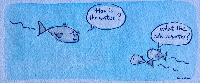 This Is Water: Revisiting Social Constructs