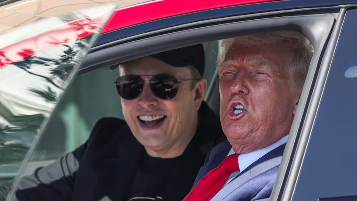 Musk's DOGE using AI to surveil federal workers for hostility to Trump:  Report - India Today