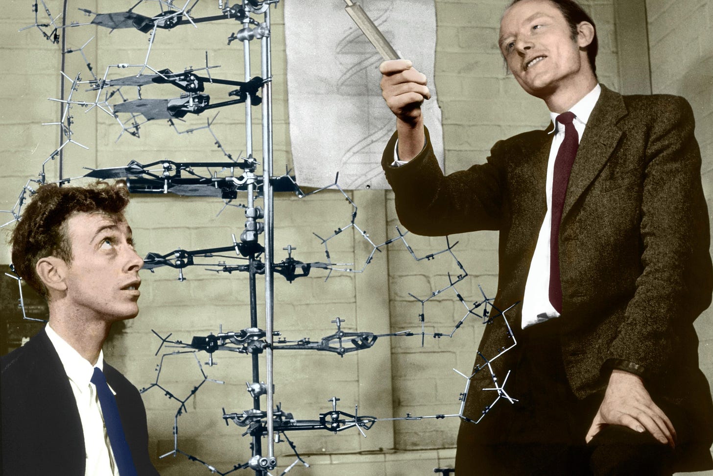 Crick & Watson Crick & Watson