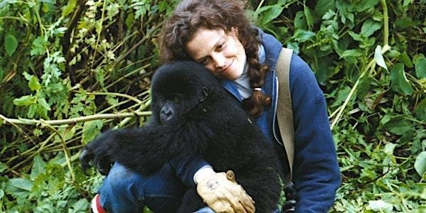 Gorillas in the Mist (1988) Tickets, Wed, Jan 7, 2026 at 7:00 PM | Eventbrite Gorillas in the Mist (1988) Tickets, Wed, Jan 7, 2026 at 7:00 PM | Eventbrite