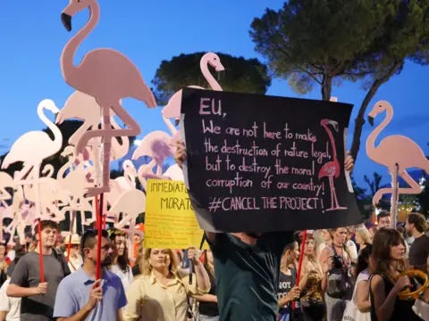 A crowd of protestors hold flamingo-shaped picket-signs. Another carries a sign which calls for the project to be cancelled. A crowd of protestors hold flamingo-shaped picket-signs. Another carries a sign which calls for the project to be cancelled.