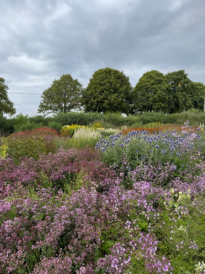 Hauser & Wirth Somerset