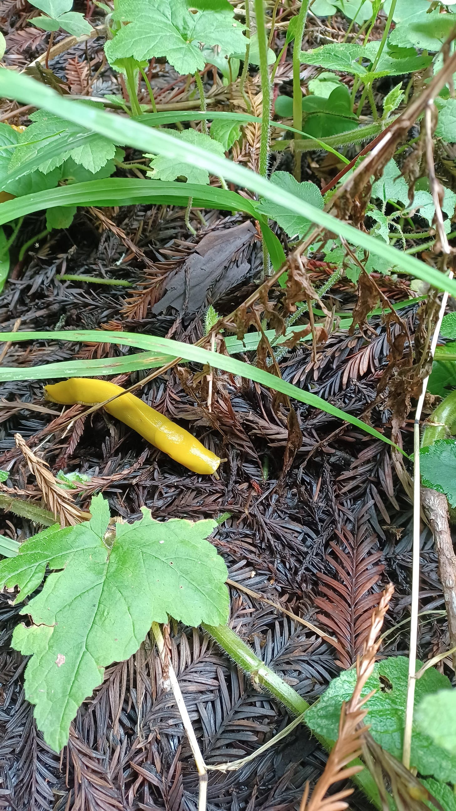 A week-long guide to San Francisco