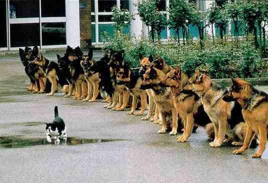 courage courage