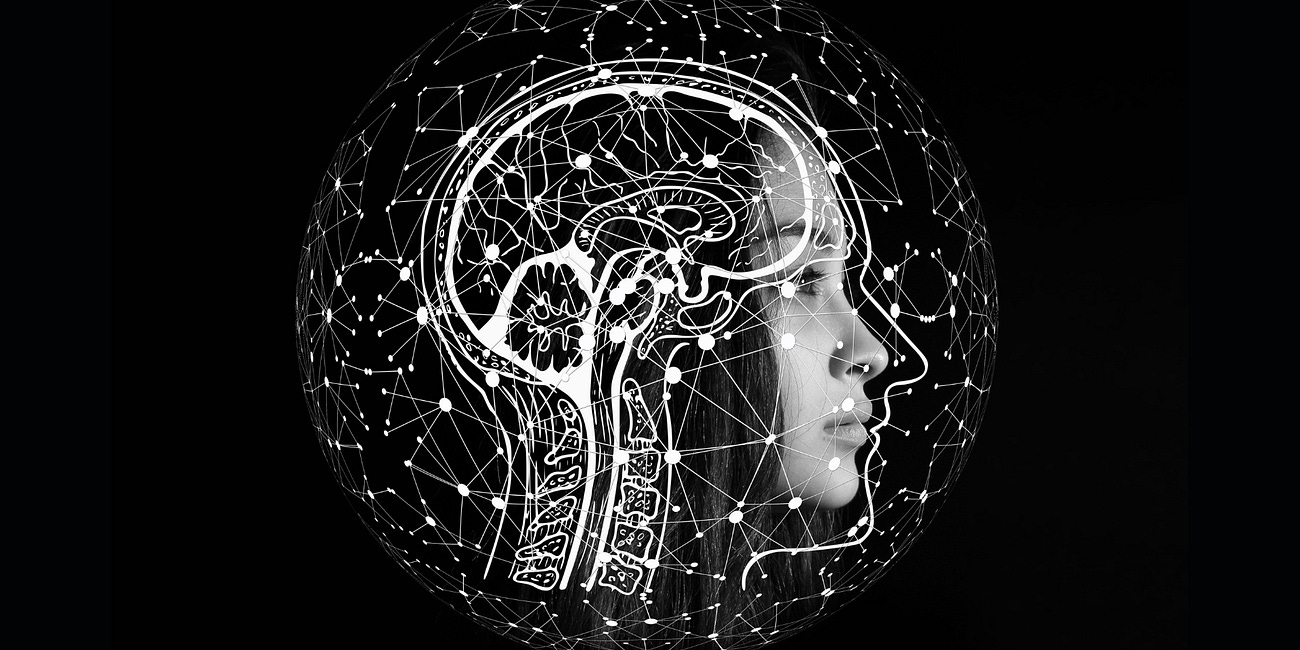 Cosmic Blueprints: Bridging Intelligence, Consciousness, and the Universe’s Informational Substrate