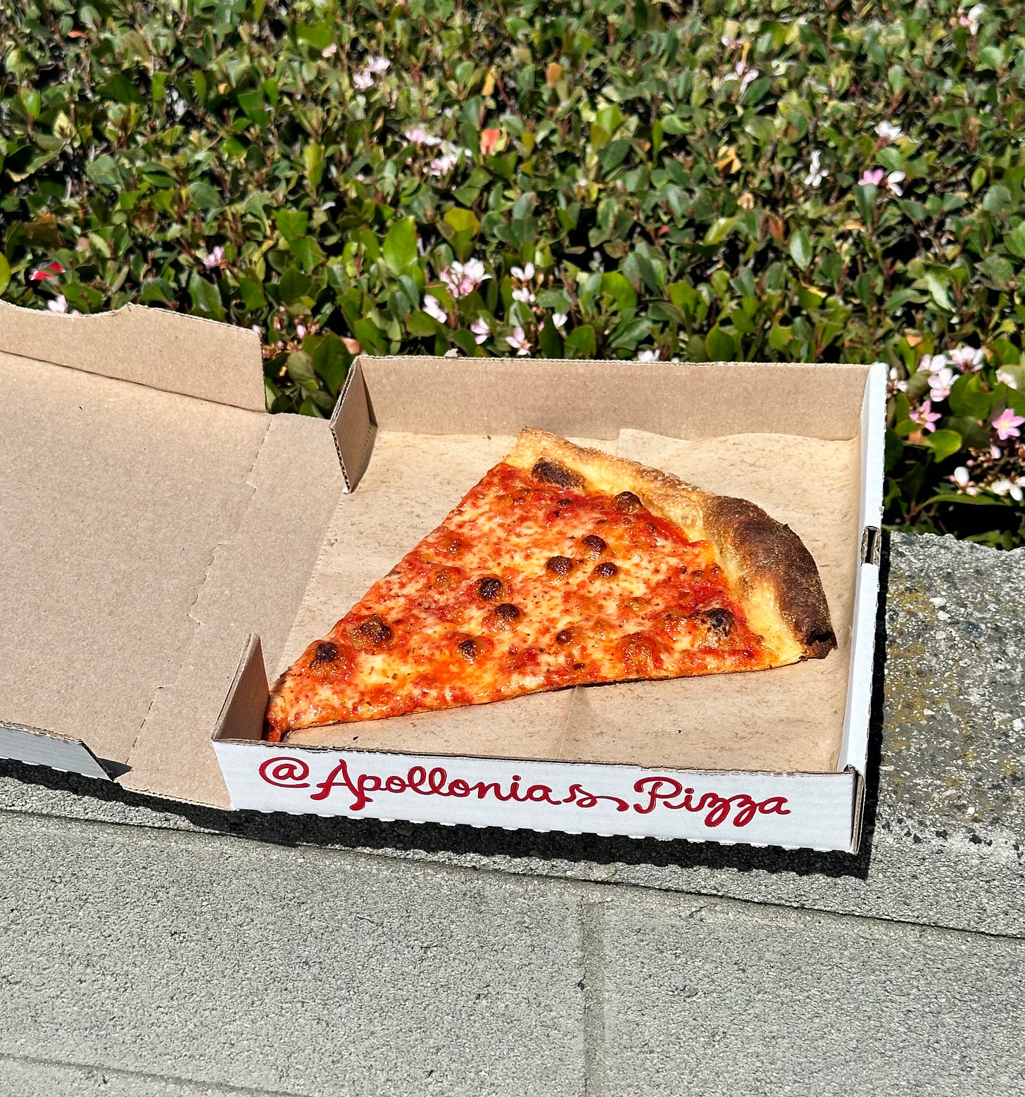 A plain slice at Apollonia's