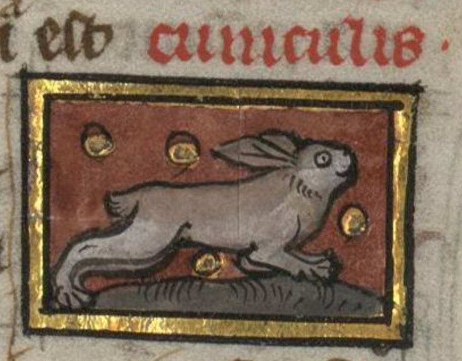12 Medieval Rabbits to Help You Celebrate Spring