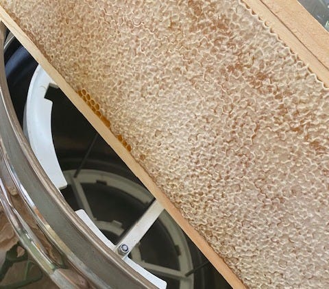 capped honey frame and extractor